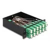 DeLOCK Fiber Optic HD Cassette MPO male to 12 x LC Duplex female Photo 3