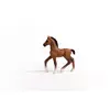 Игрушечная фигурка Schleich HORSE CLUB Олденбургский жеребенок Photo 2