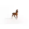 Игрушечная фигурка Schleich HORSE CLUB Олденбургский жеребенок Photo 5