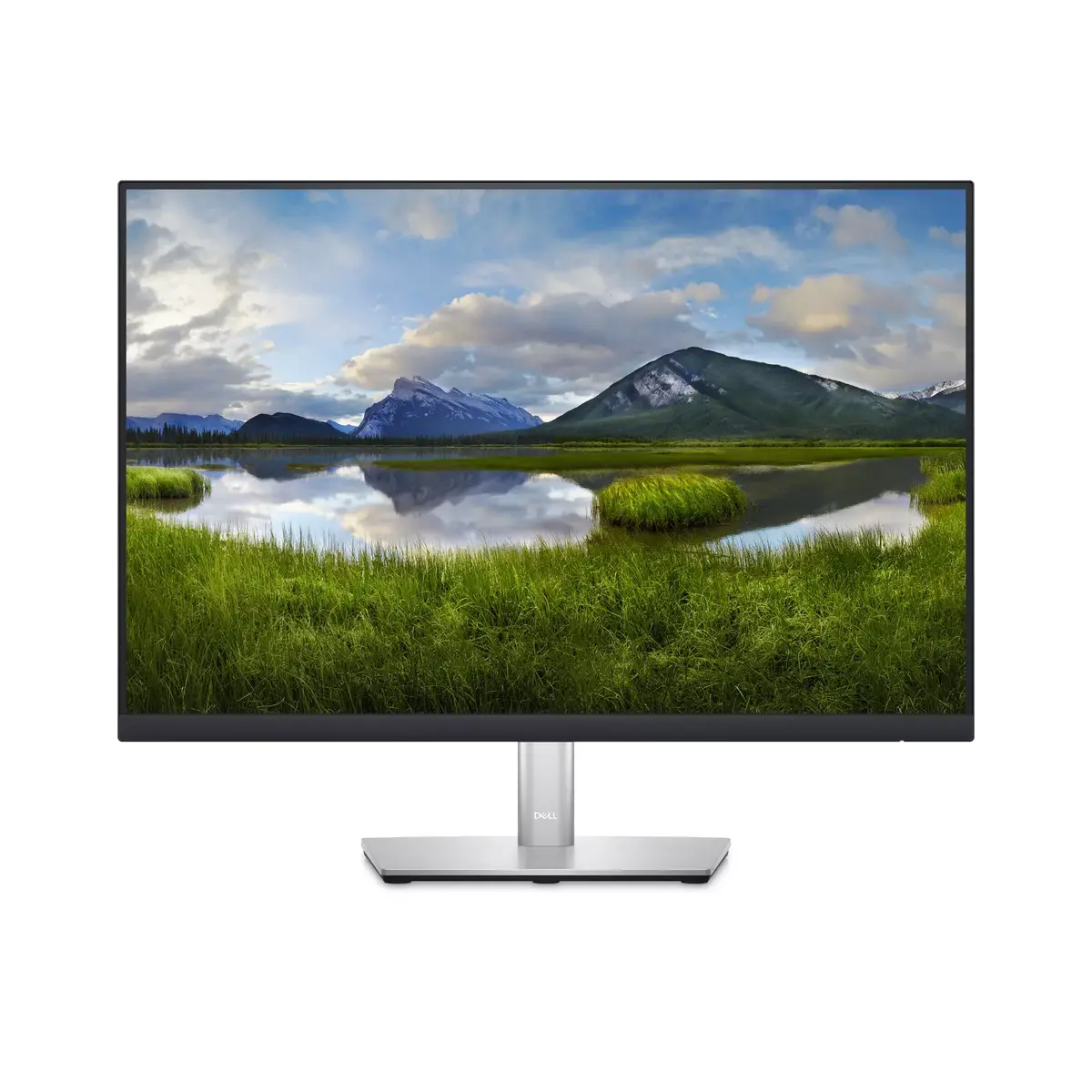 Monitors DELL P2423 24" WUXGA LCD