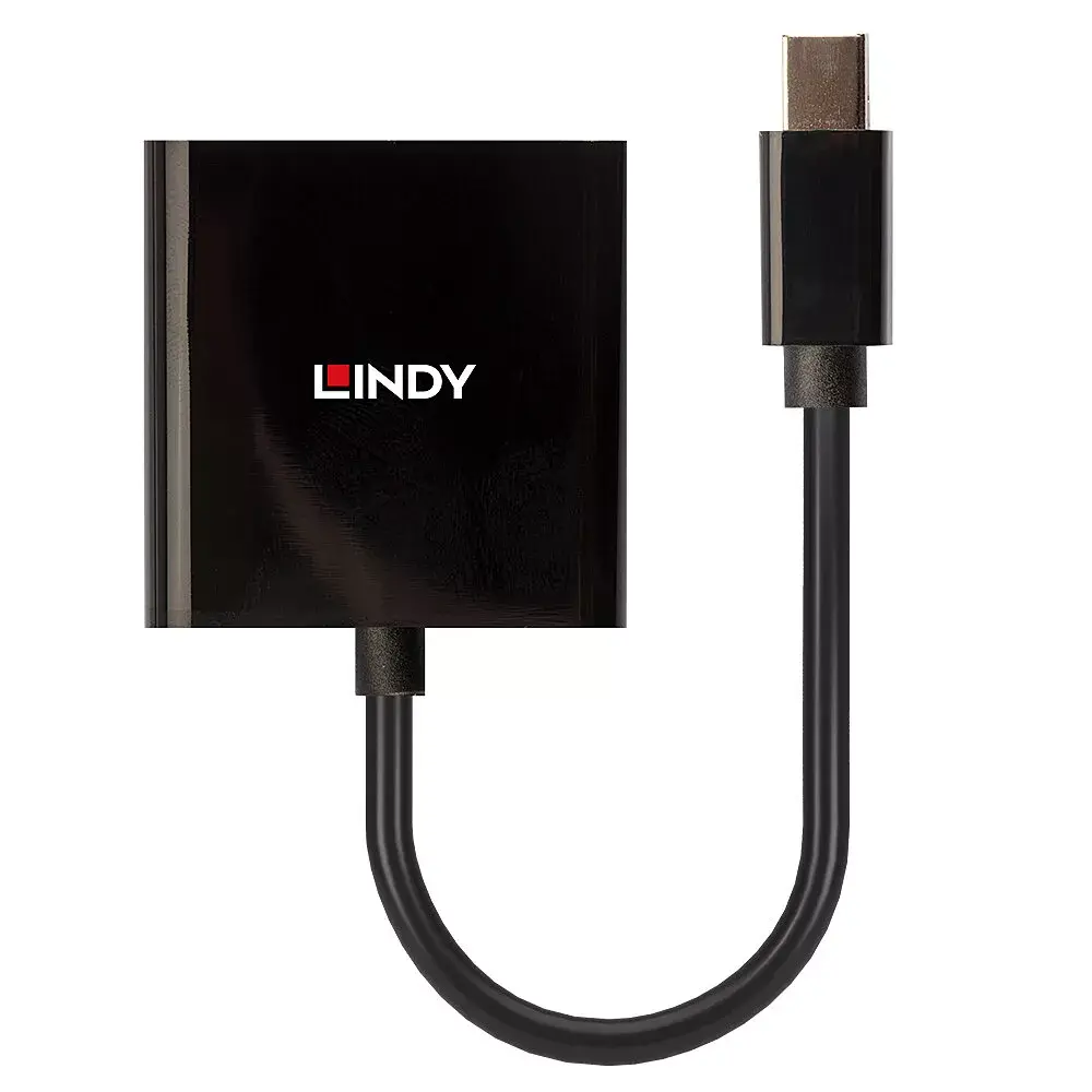 Конвертер Lindy Mini DisplayPort в DVI Photo 2
