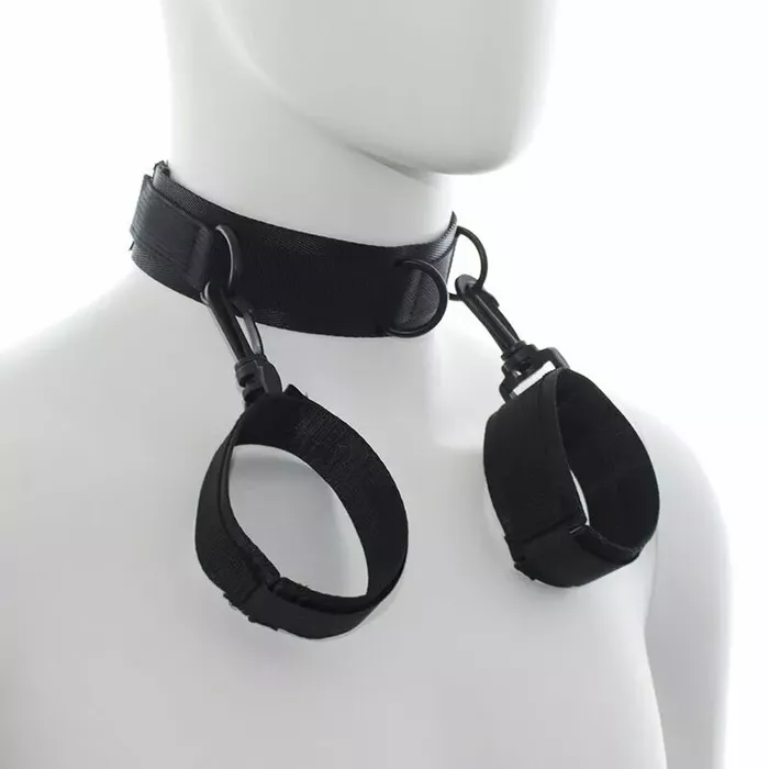 Leash and Collars