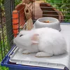FERPLAST Rabbit 120 trušu būris 1180×585×495 mm Photo 6