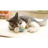 Интерактивная мобильная игрушка Doggy Village MT7111B Photo 3