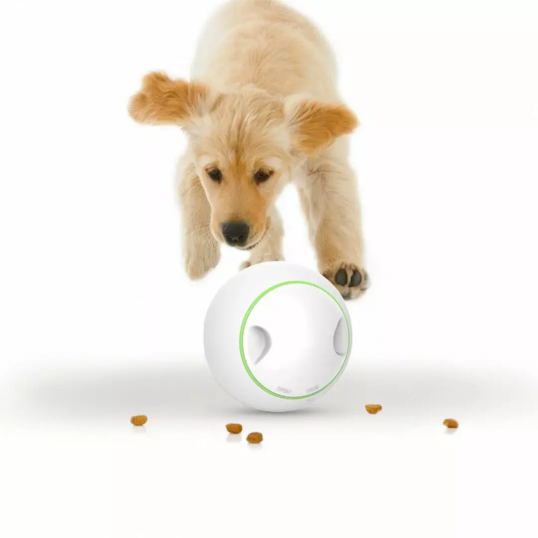 Doggy Village Prize Orb MT7102 игрушка для собак Photo 4