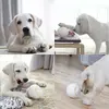 Doggy Village Prize Orb MT7102 игрушка для собак Photo 8