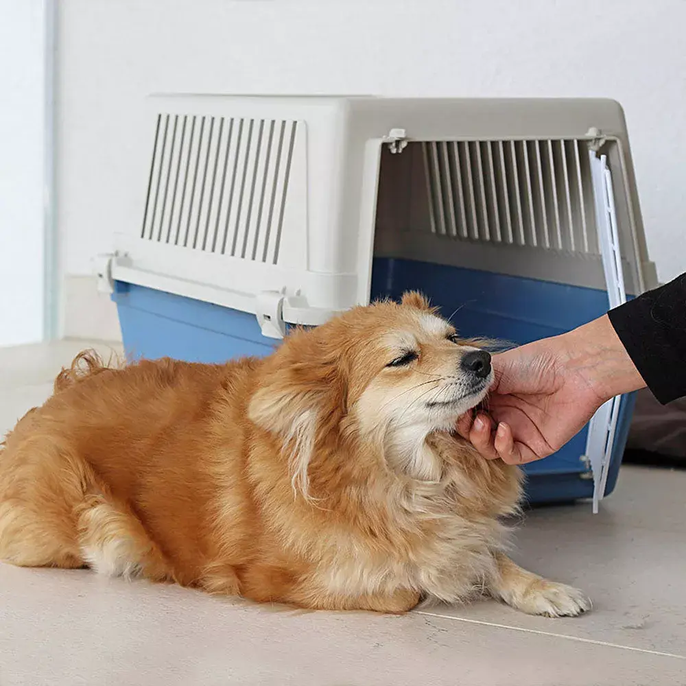 Ferplast Atlas 20 EL Pet Carrier Photo 8