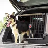 FERPLAST Atlas Car Scenic hard dog carrier 1000×600×660 mm Photo 2