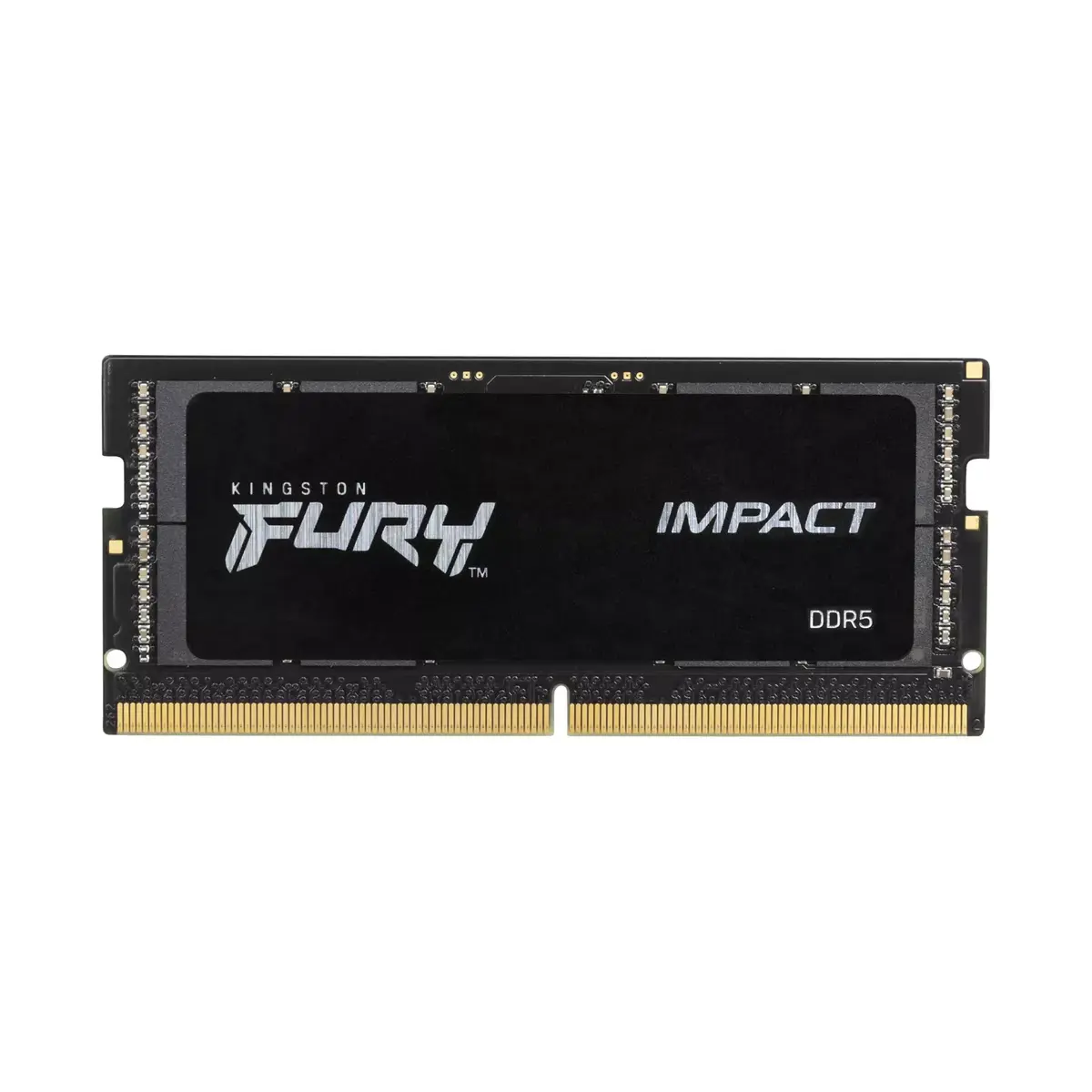 Memory Kingston Technology 64GB FURY Photo 2