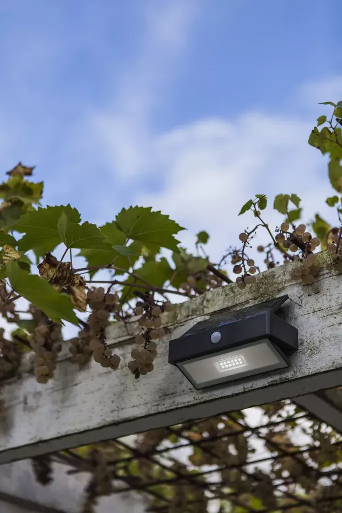 Lutec ARROW LED Outdoor Wall Light Photo 3