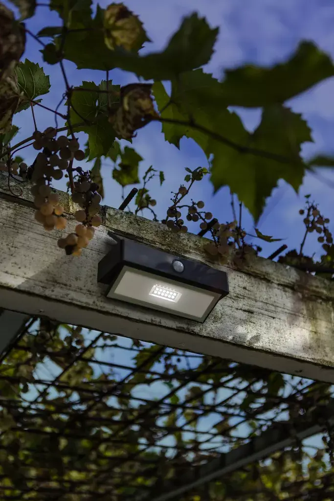 Lutec ARROW LED Outdoor Wall Light Photo 4
