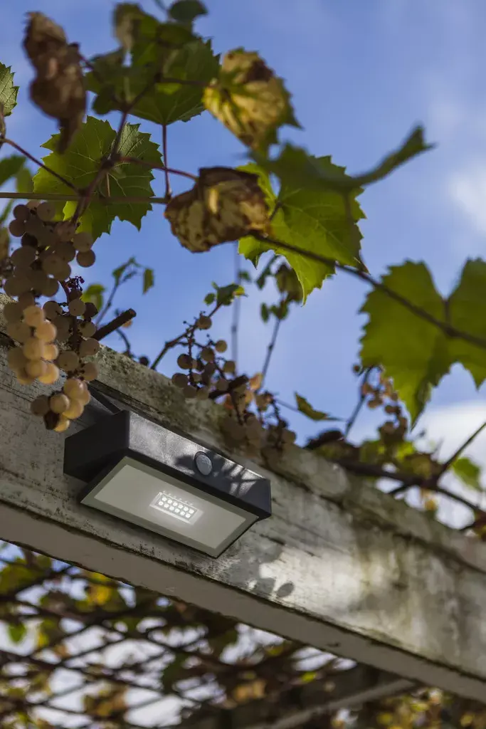 Lutec ARROW LED Outdoor Wall Light Photo 5