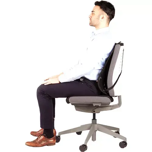 Tīklu muguras atbalsts Fellowes Professional Photo 5