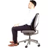 Tīklu muguras atbalsts Fellowes Professional Photo 5