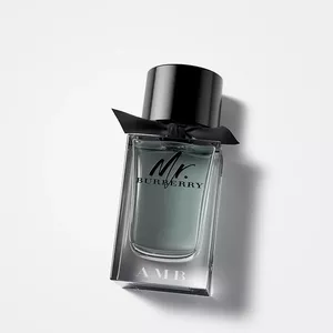 Burberry Mr. Eau de Toilette, 100ml