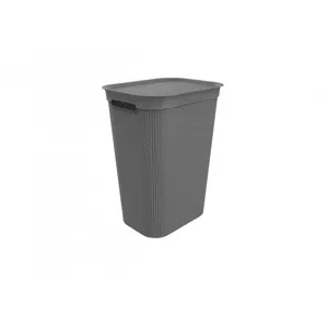 Rotho Brisen rectangular plastic container 50 L, anthracite, lid, hanger hole