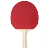 Galda tenisa rakete STIGA Sports 1211-8318-01 Photo 4