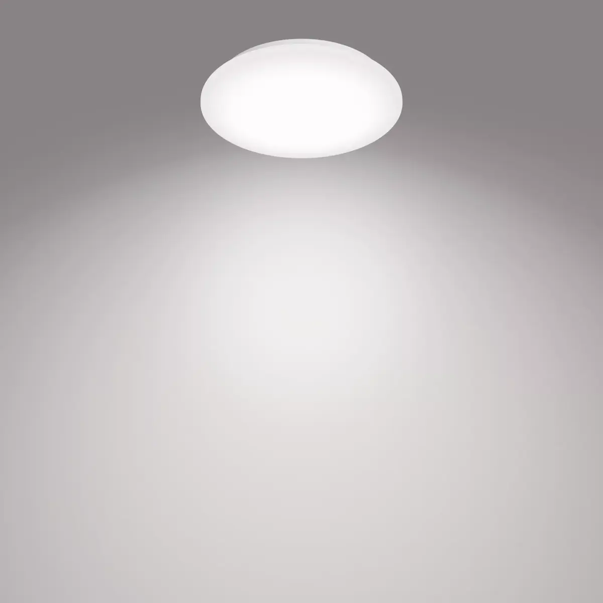 Philips Functional потолочный светильник круглый 10 Вт LED Photo 2