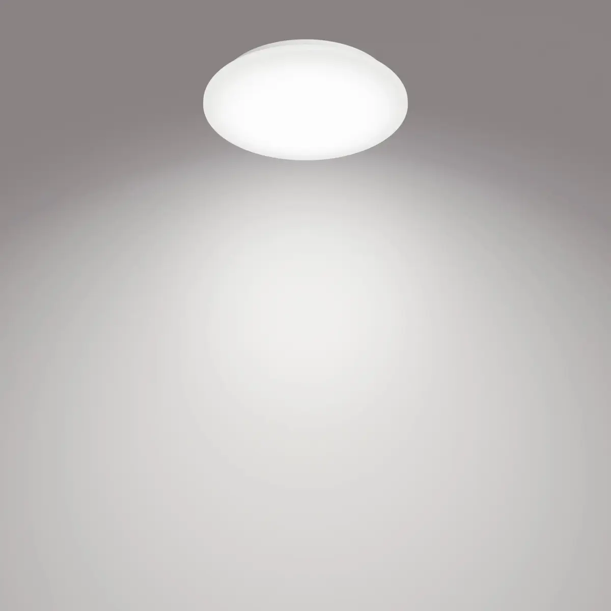 Griestu gaismeklis Philips Moire Photo 2