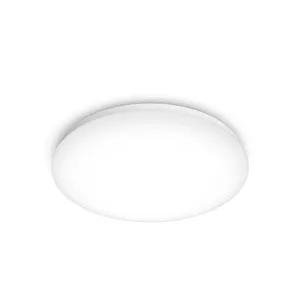 Потолочное освещение Philips Functional 8718699681159 LED 17W Белое