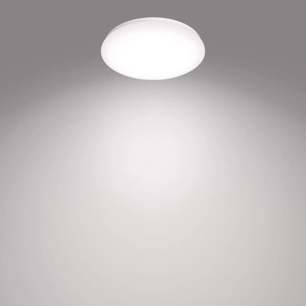 Потолочное освещение Philips Functional 8718699681159 Photo 2