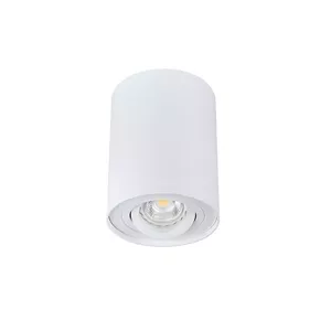 CEILING LIGHT POINT FITTING BORD DLP-50W
