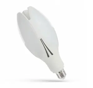 Spectrum LED PARISIENNE 30W E27 Light Bulb, 4000K Neutral White