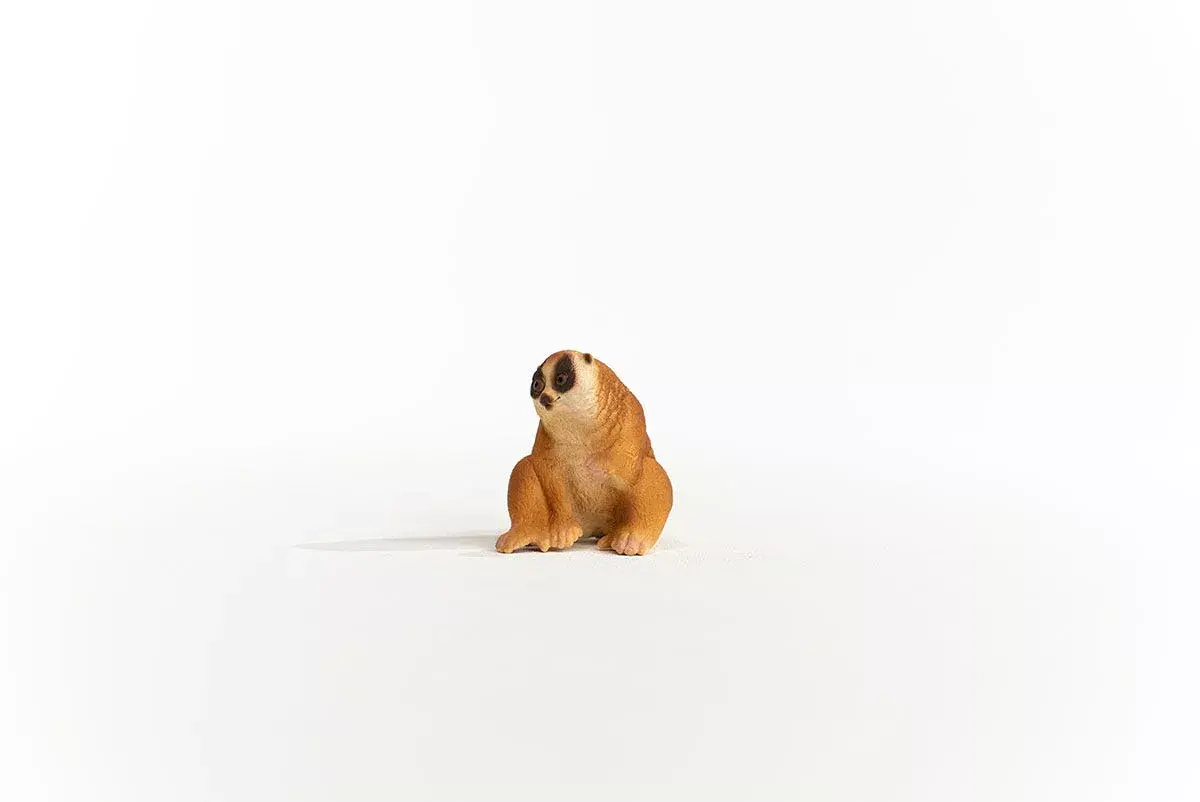 schleich WILD LIFE Slow Loris 14852 Photo 3