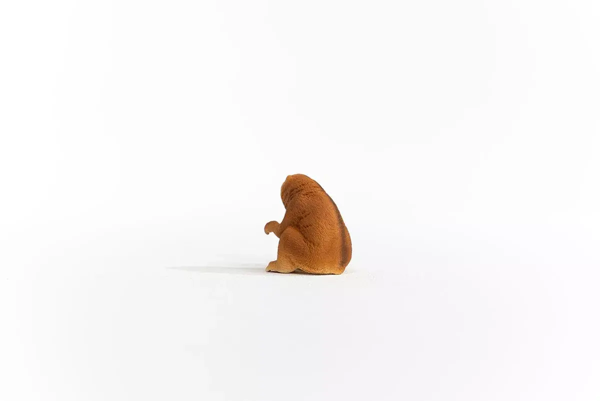 schleich WILD LIFE Slow Loris 14852 Photo 4