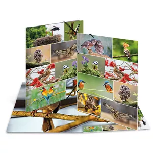 Ring Binder HERMA 19455 A3 Multicolour Storage