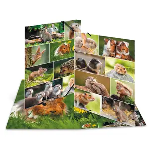 Ring Binder HERMA 19453 A3 Multicolour Storage