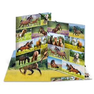 Ring Binder HERMA 19452 A3 Multicolour Storage