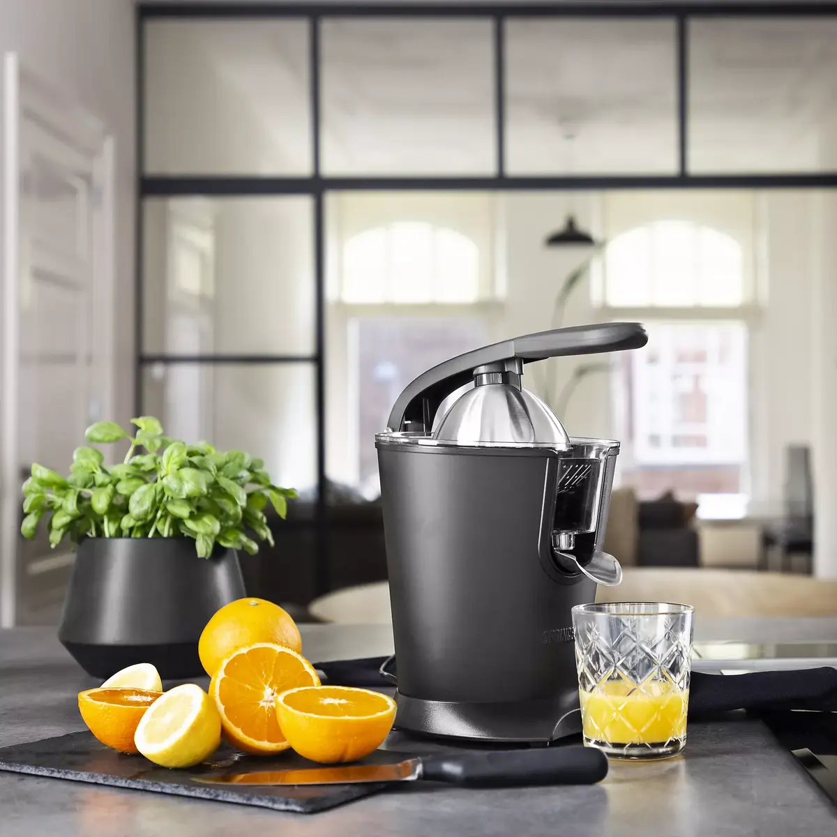 Juicer Princess 01.201853.01.001 Photo 22