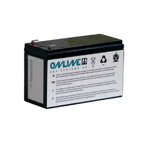 ONLINE USV-Systeme BCXSRT6000 UPS battery 1 pc Grey 29.3 kg