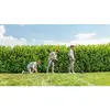 2-in-1 Krūmgriezis un zāles pļāvējs Bosch UniversalGrassCut 18V-26 Photo 5