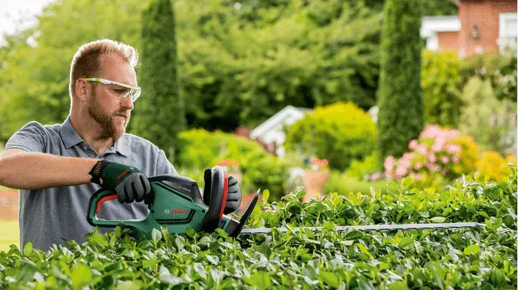 Hedge Trimmer Bosch Universal HedgeCut 60 Photo 2