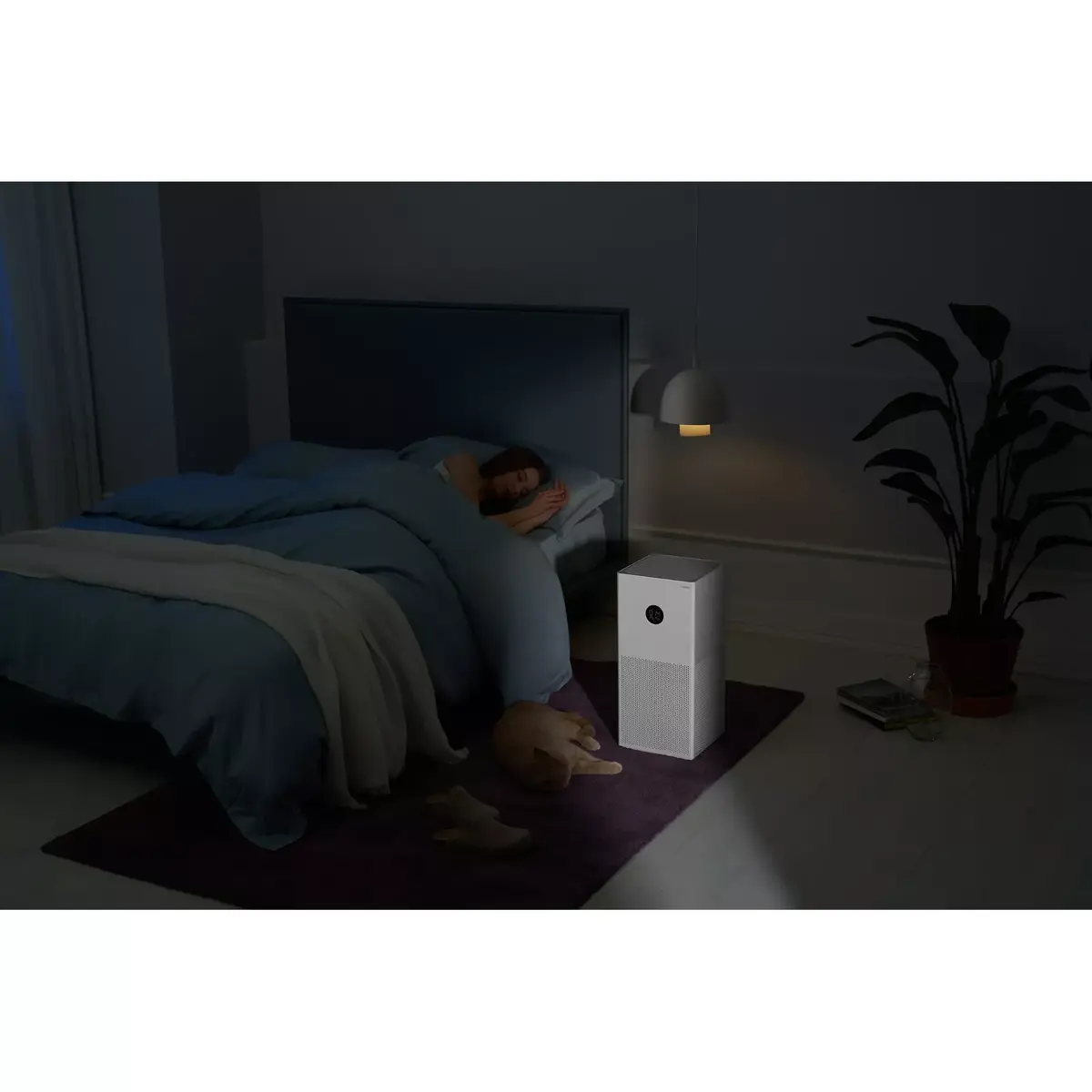 Air Purifier Xiaomi Smart Air Purifier 4 Lite Photo 11
