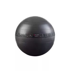 Pure2Improve Exerciseball 