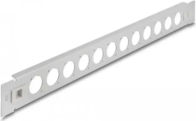 Patch panel DeLOCK 19" D-Tipa 12
