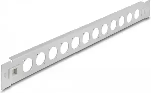 Patch panel DeLOCK 19" D-Type 12 port tool free grey