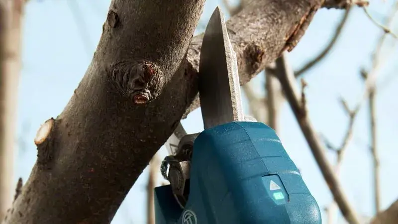 Bosch Pro Pruner Professional bezvadu zāles šķēres Photo 2
