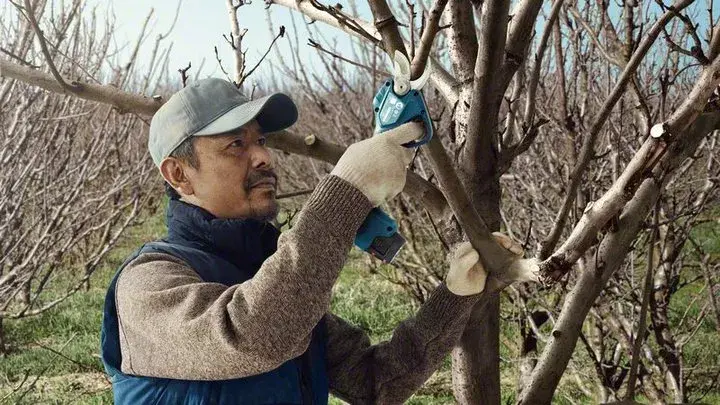 Bosch Pro Pruner Professional bezvadu zāles šķēres Photo 4