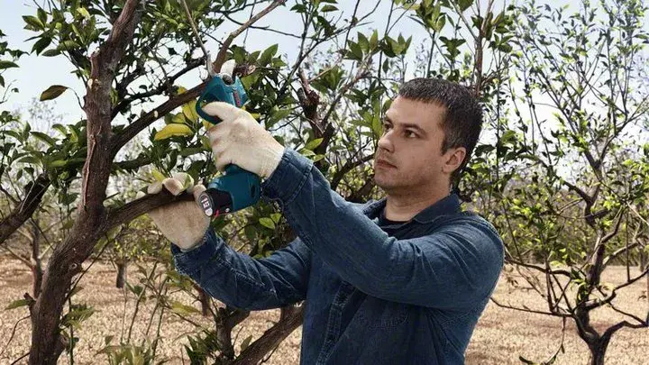 Bosch Pro Pruner Professional bezvadu zāles šķēres Photo 6