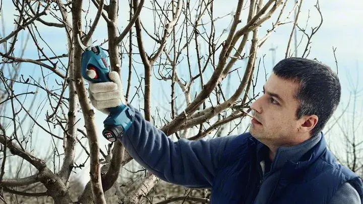 Bosch Pro Pruner Professional bezvadu zāles šķēres Photo 7