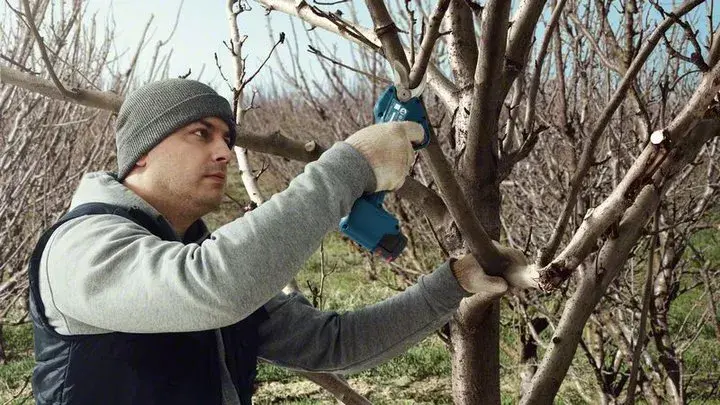 Bosch Pro Pruner Professional bezvadu zāles šķēres Photo 10