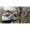 Bosch Pro Pruner Professional bezvadu zāles šķēres Photo 10