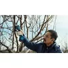 Bosch Pro Pruner Professional bezvadu zāles šķēres Photo 11