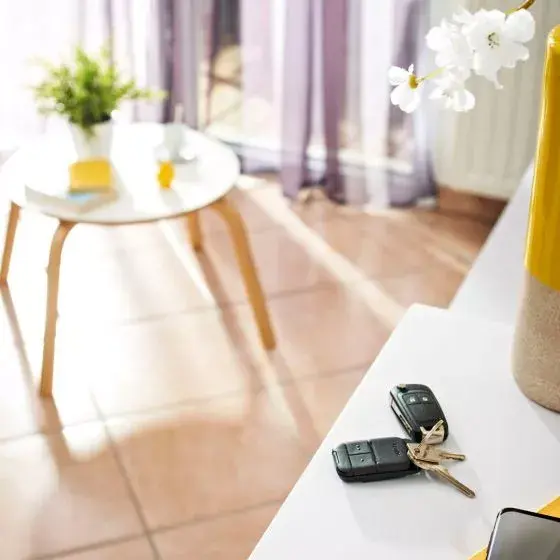 Пульт дистанционного управления Somfy 2401539 Photo 4