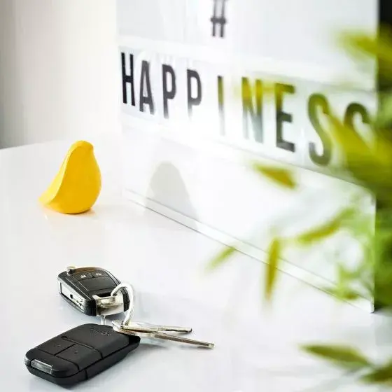 Пульт дистанционного управления Somfy 2401539 Photo 7