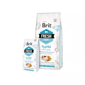 Сухой корм для собак Brit Fresh Fish with Pumpkin Adult Large для суставов и мышц 12 кг